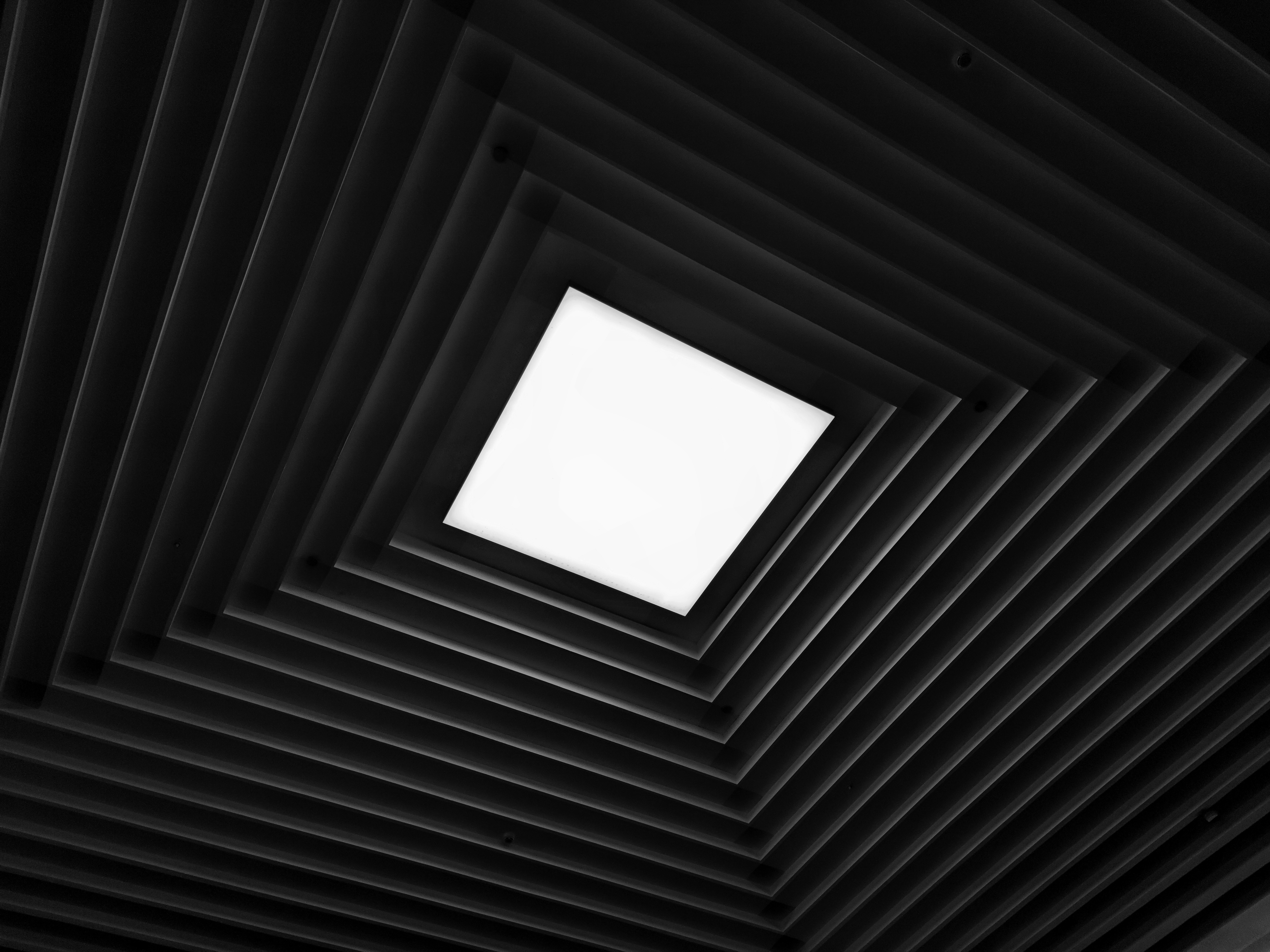 摄影作品 45