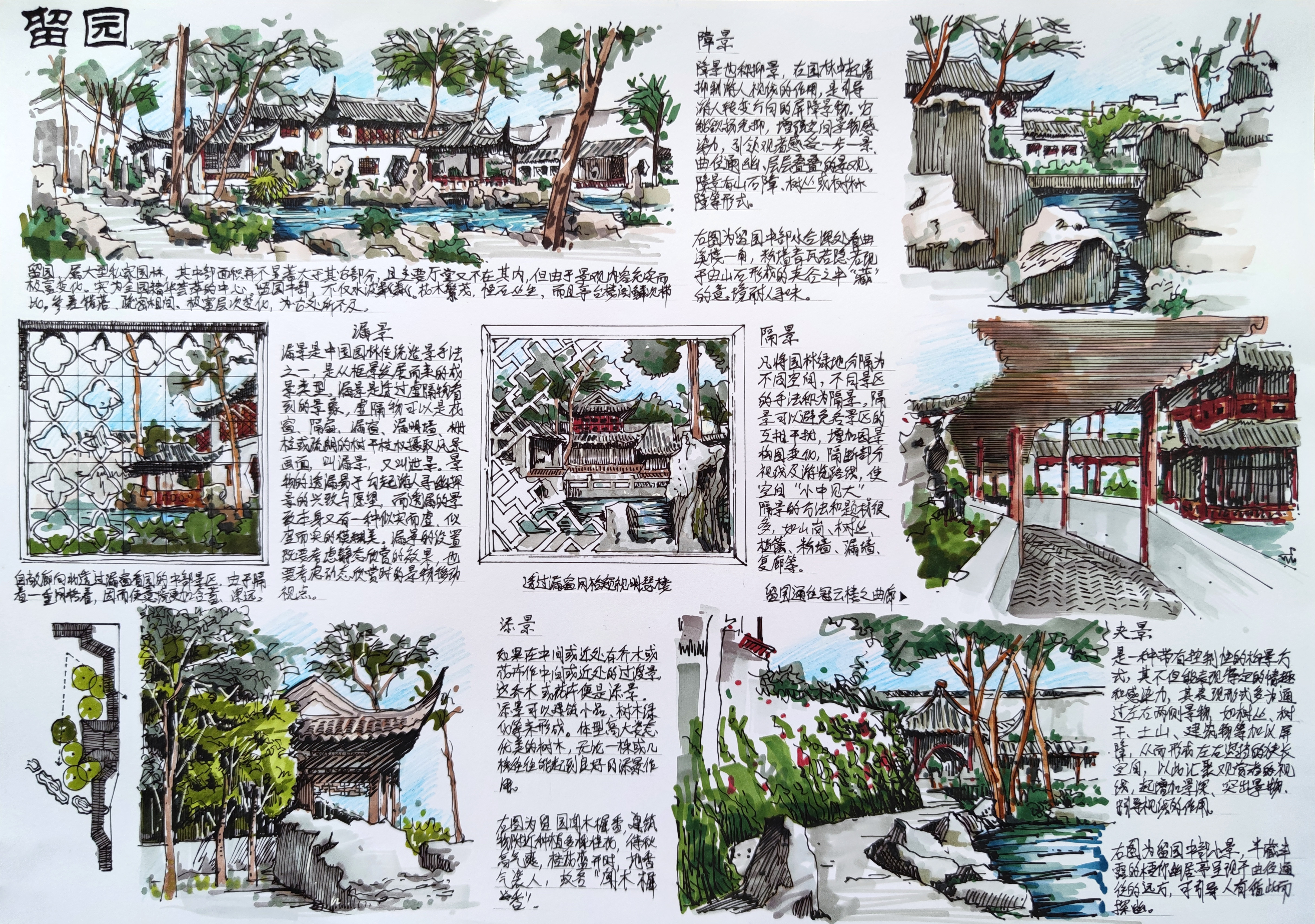 苏州留园园林场景手绘表现二